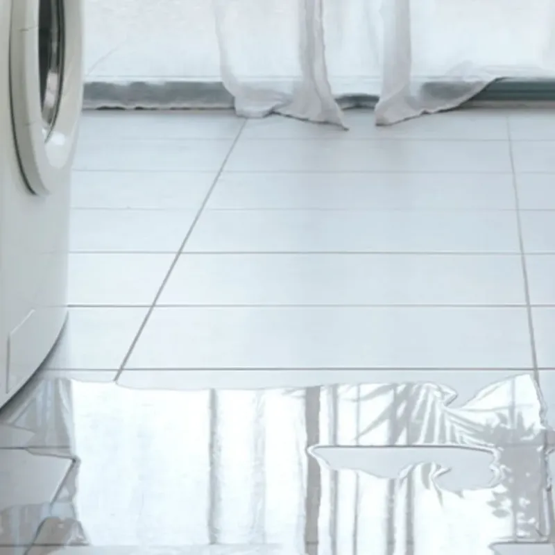 Appliance Leak Cleanup in Moscow, PA