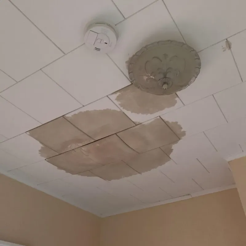 Ceiling Water Damage Repair in Moscow, PA